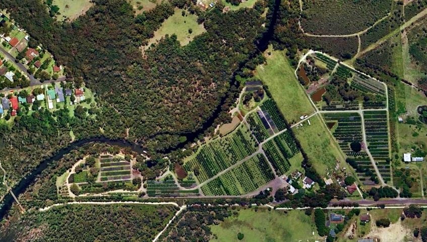 Karignan Plantation Aerial Photograph