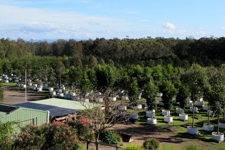 View to western end of Karignan Plantation