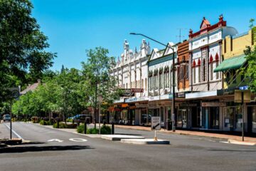 Trees planted at Otho-St for Inverell Shire Council